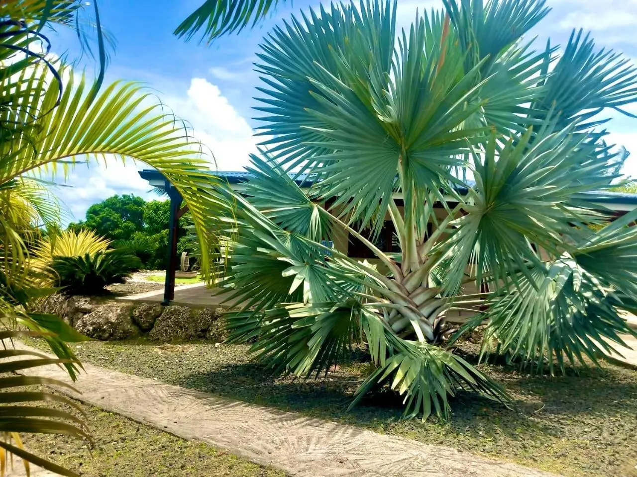 Villa Tea Free Anse-Bertrand