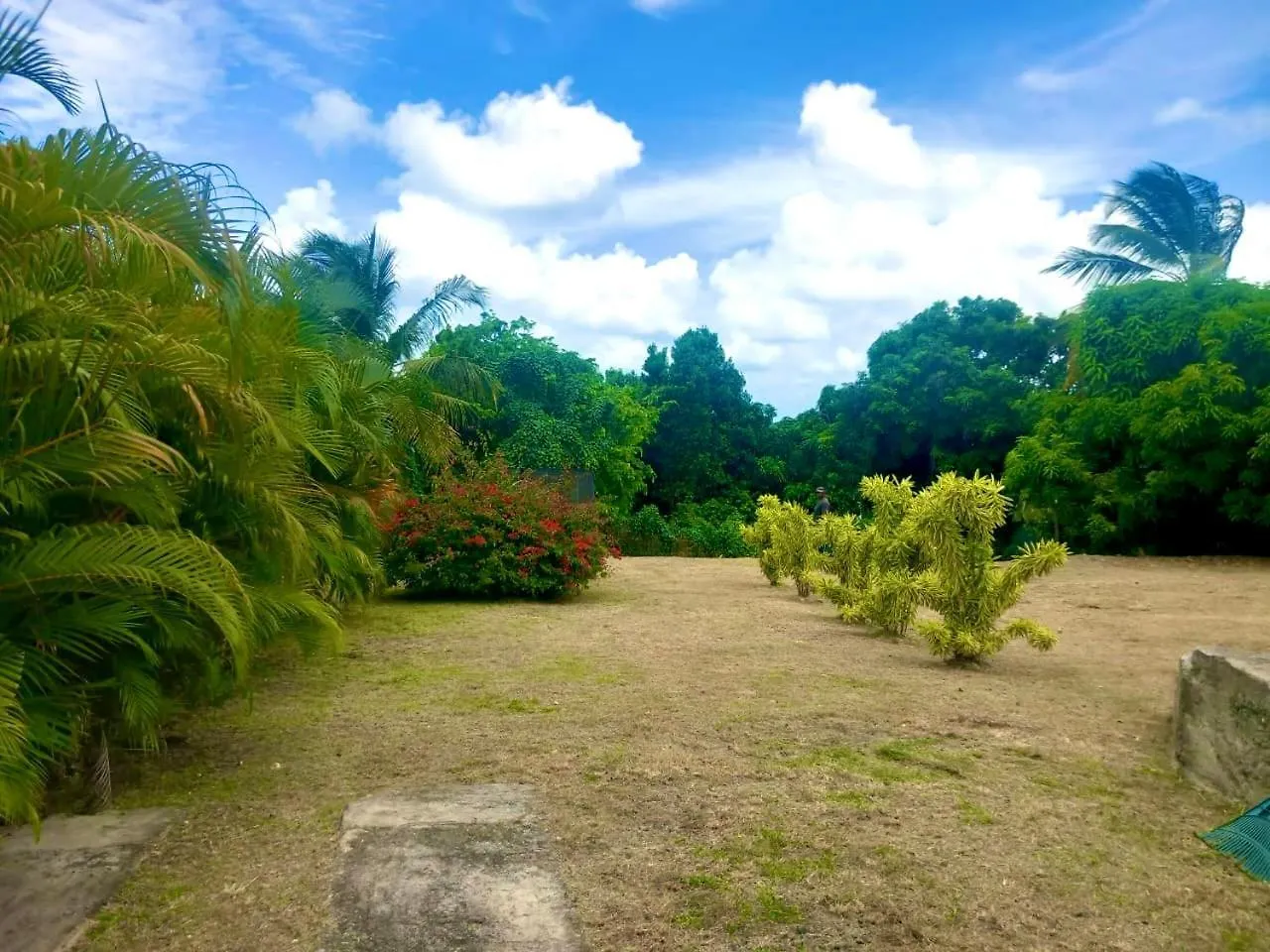 Villa Tea Free Anse-Bertrand Guadeloupe
